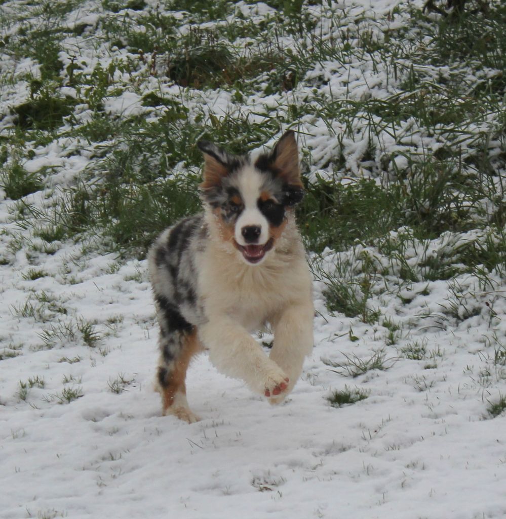 1ère neige